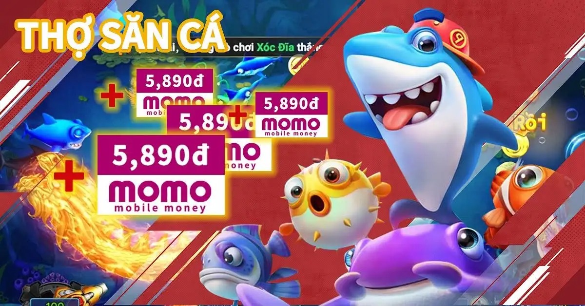 bnc